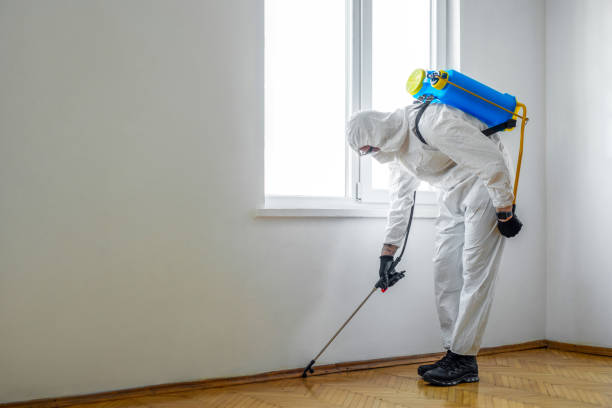 Best Residential Pest Control  in Conning Towers Nautilus Park, CT